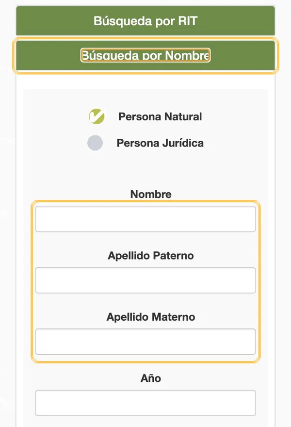 Formulario «Búsqueda por Nombre», con los campos de nombre y apellidos marcados.